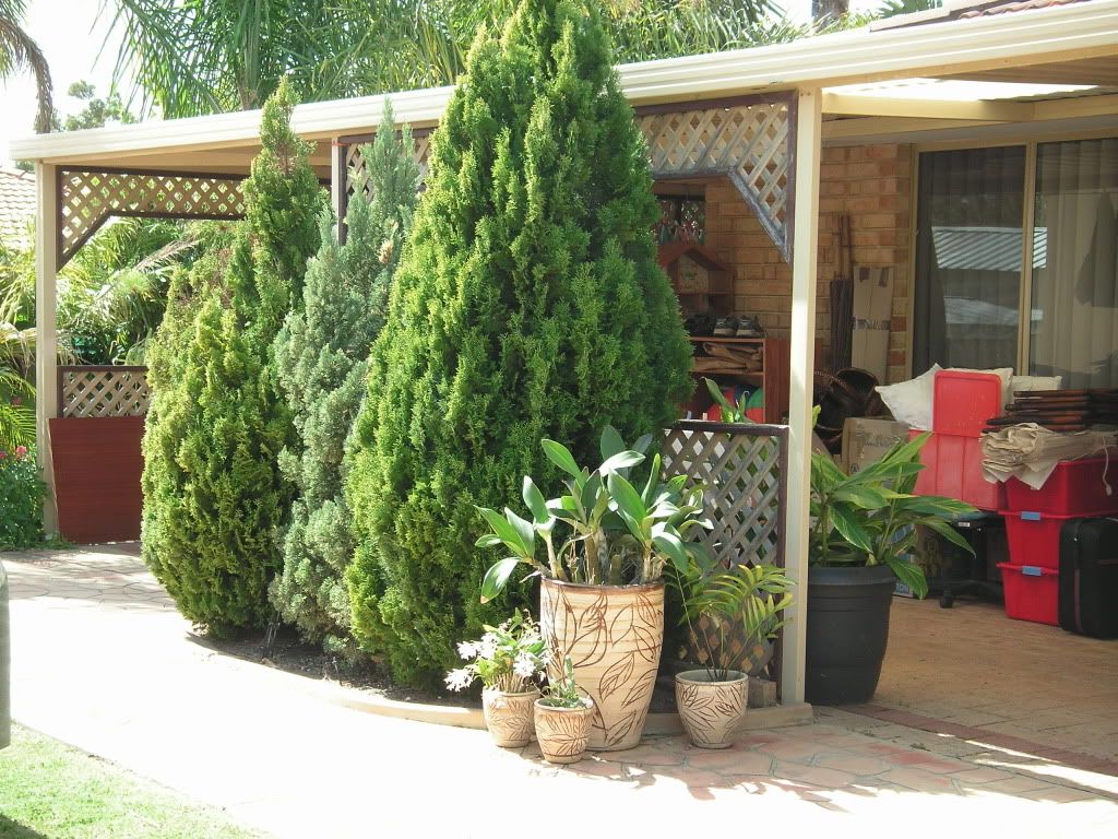 View topic - HOUSE SOLD - FURNITURE FOR SALE CHEAP - PERTH? • Home