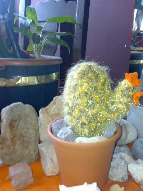 Cactus Tejidos al Crochet... Artesanales Cactus Tejidos al Crochet... Artesanales