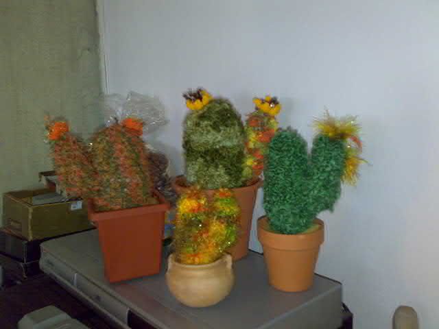 flores flores