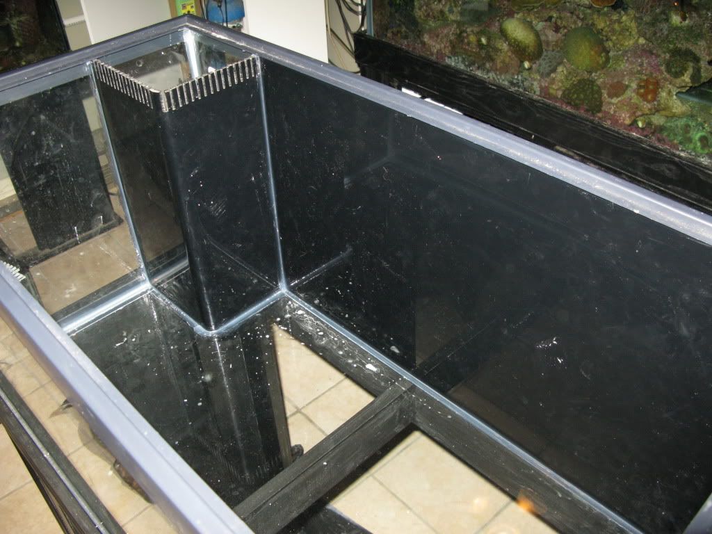 Is GE Silicone II safe for my aquarium?? REEF2REEF Saltwater and Reef