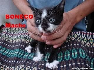 Imagem