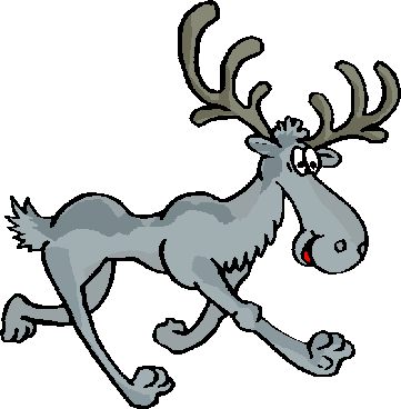 moose-cartoon.gif